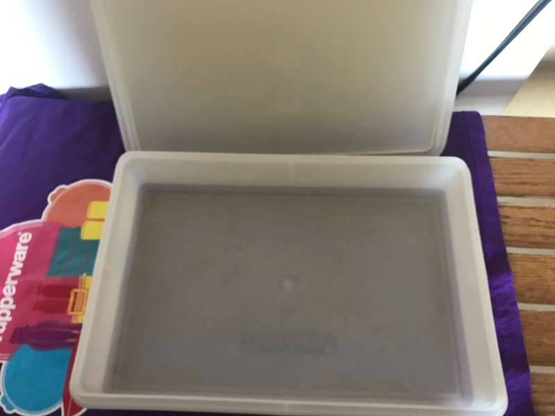 Tupperware lot 5