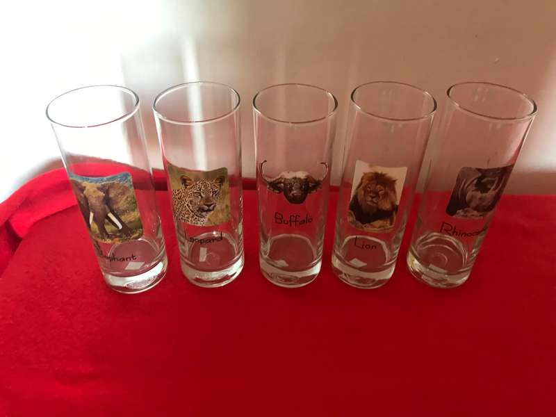 Big 5 glasses