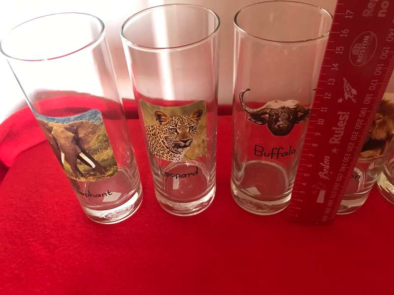 Big 5 glasses