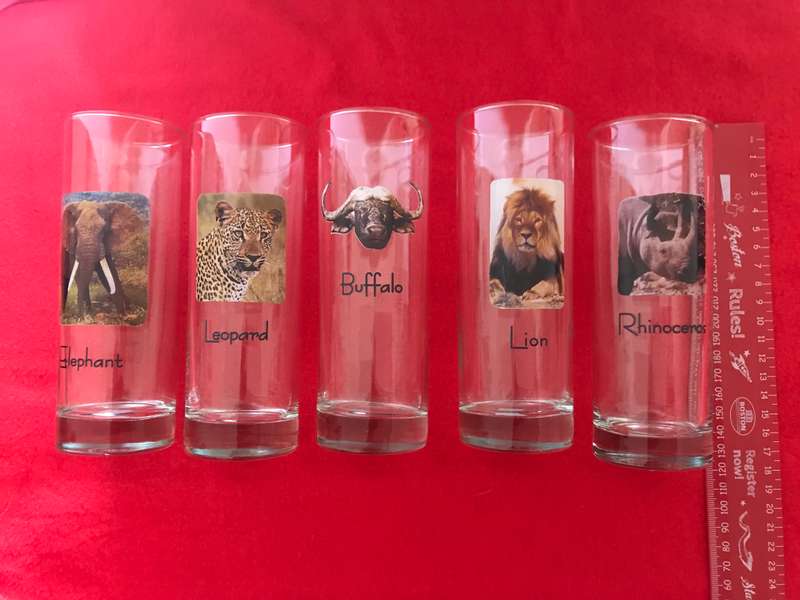 Big 5 glasses
