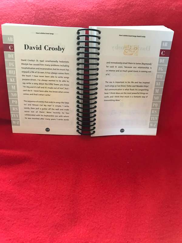 How to Write Great Songs: Easy to Use, Easy to Carry, 100 Artists All Styles - Softcover Michael Hea