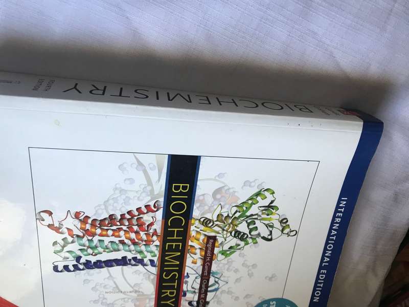 Biochemistry International Edition Paperback Reginald H. Garrett