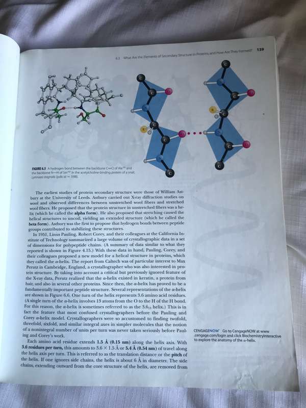Biochemistry International Edition Paperback Reginald H. Garrett