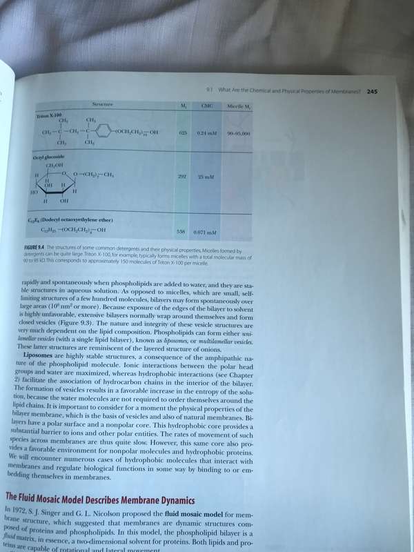 Biochemistry International Edition Paperback Reginald H. Garrett
