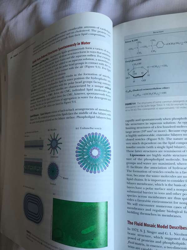 Biochemistry International Edition Paperback Reginald H. Garrett