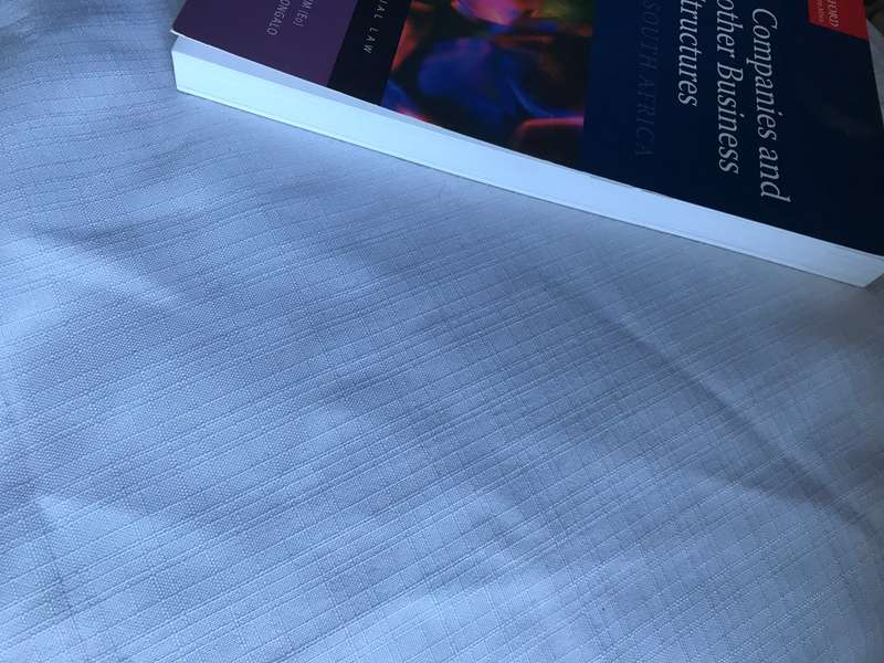 Business Structures in South Africa Commercial Law Dennis Davis