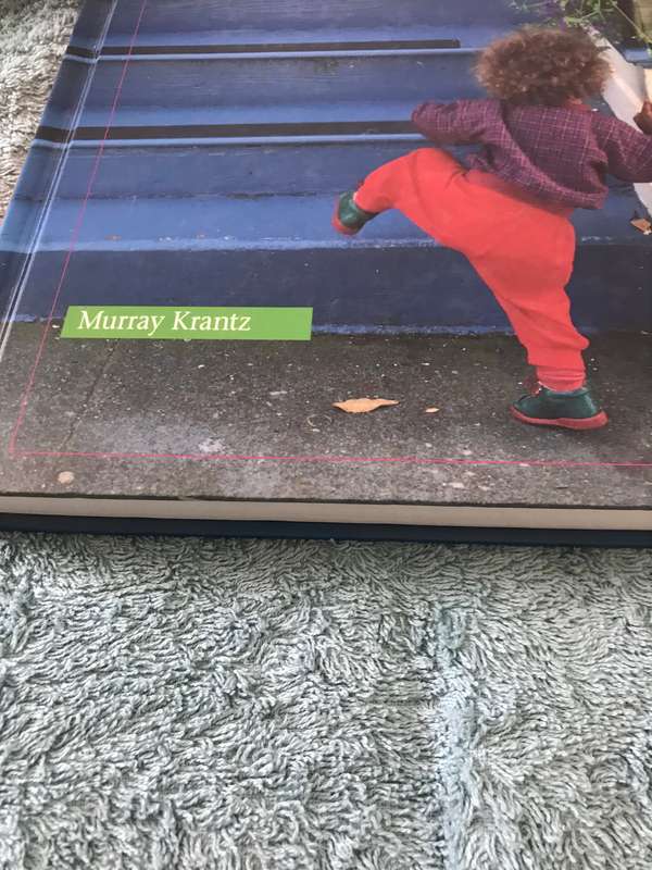 Child Development: Risk and Opportunity 1st Edition by Murray Krantz (Author)