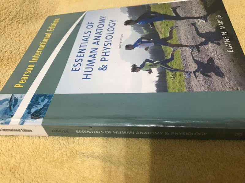 Essentials of Human Anatomy & Physiology: 9 edition Elaine N Marieb