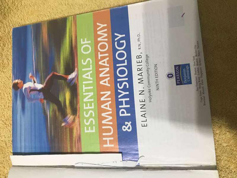 Essentials of Human Anatomy & Physiology: 9 edition Elaine N Marieb