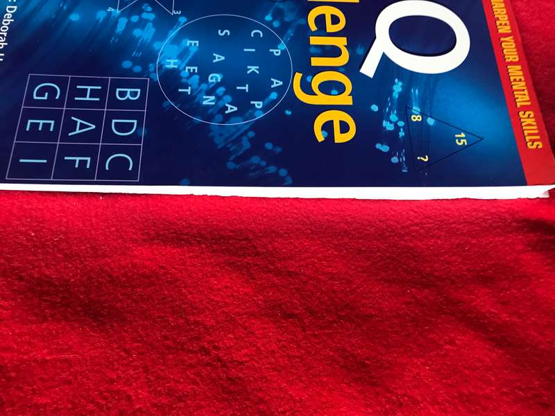 IQ Challenge by Deborah Hercun