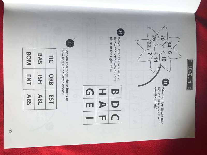 IQ Challenge by Deborah Hercun