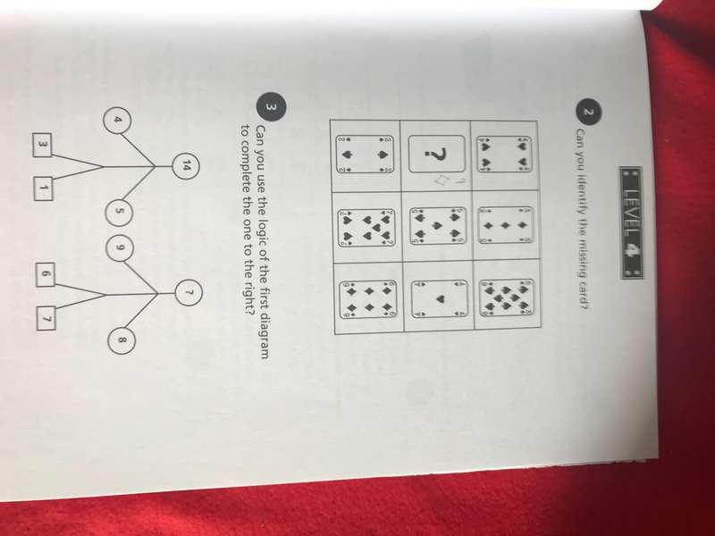 IQ Challenge by Deborah Hercun