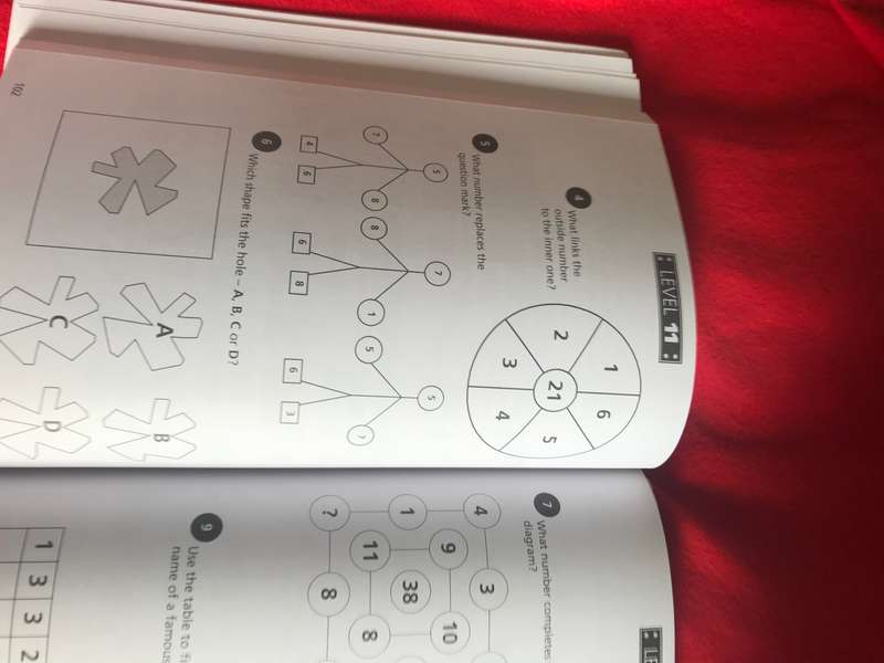 IQ Challenge by Deborah Hercun