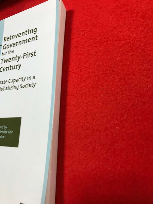 Reinventing Government for the Twenty-First Century: State Capacity in a Globalizing Society by Denn