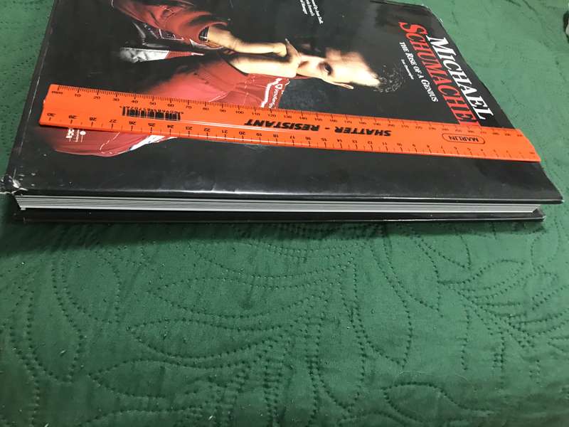 Michael Schumacher: The Rise of a Genius Domenjoz, Luc