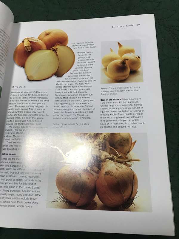The Onion Cookbook (By Brian Glover) Hardcover