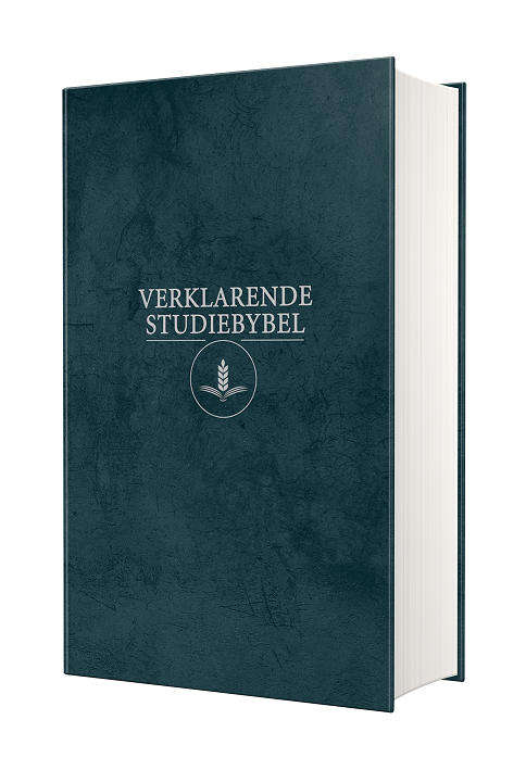 Afrikaans 1933/1953 Vertaling Groen Hardeband Verklarende Studiebybel