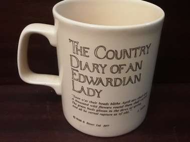 Staffordshire England Mug 9 x 8 cm