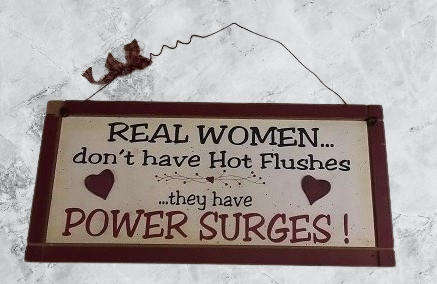 Wood Sign Real women don't have hot flashes , they have Power Surges 30 x 14 cm