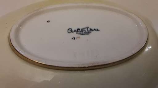 Carlton ware Oval Dish 22  cm x 14 cm x 3 cm