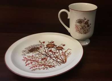 Bramble Japan Mug and Side Plate