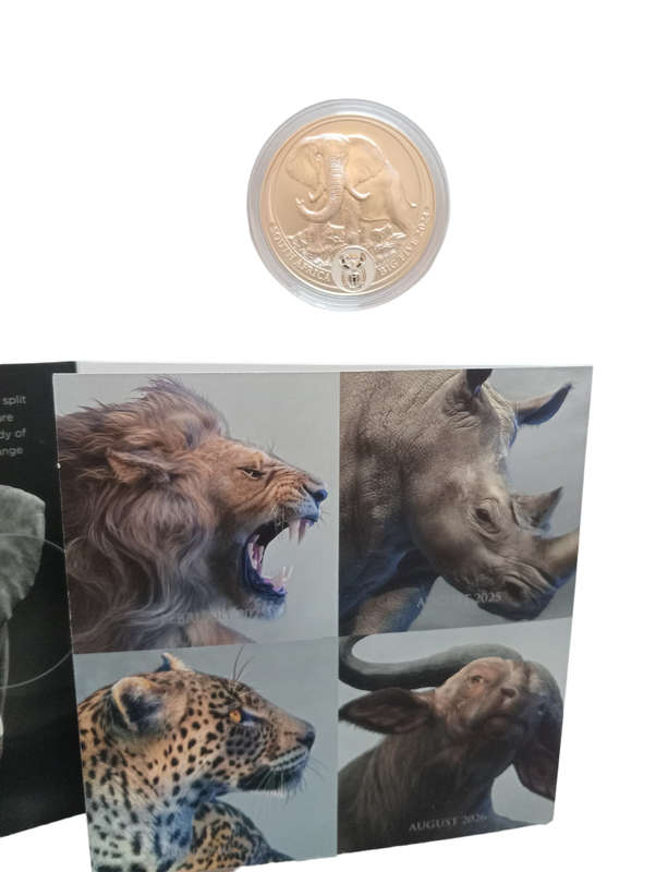 2024 Big 5 Elephant 1oz Fine Silver -South Africa - The Big Five Elephant BU Silver One Ounce