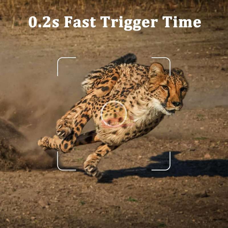 Waterproof Outdoor Trail Hunting Camera Night Vision 24MP 1080P