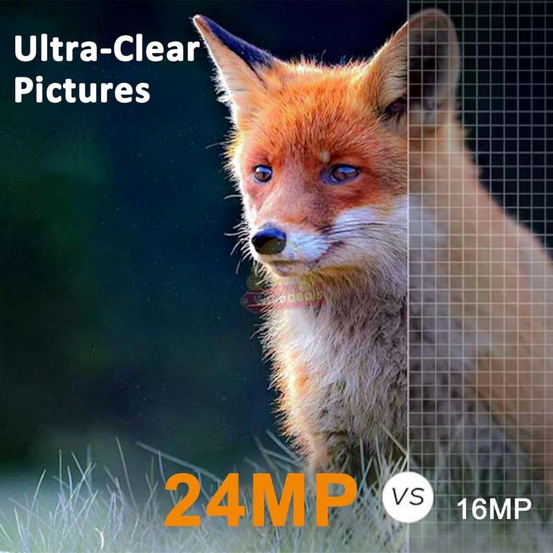 Waterproof Outdoor Trail Hunting Camera Night Vision 24MP 1080P