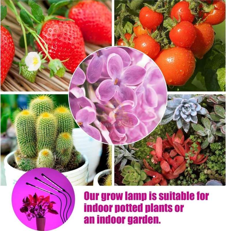 3 Adjustable Light Head LED Grow Light system