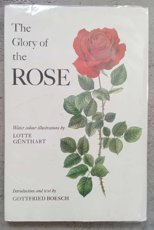 The Glory of the Rose - Lotte Günthart