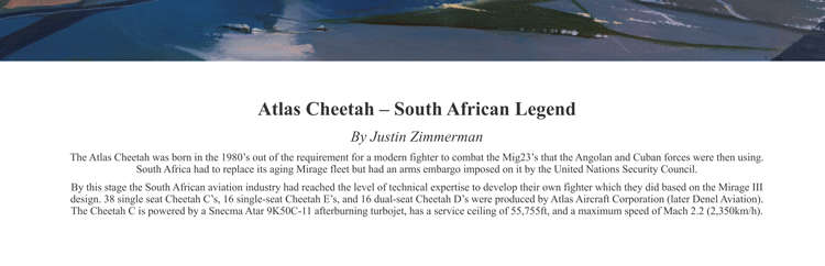 ATLAS CHEETAH - South African Legend - Colour Limited Edition Art Print
