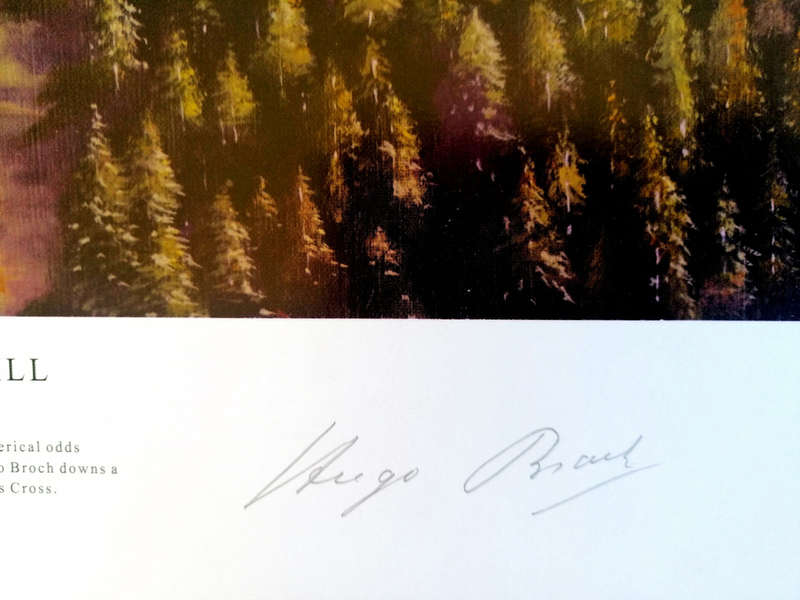 FOCKEWULF FW190 'Green Heart Knights Cross Kill' - Signed by Hugo Broch.