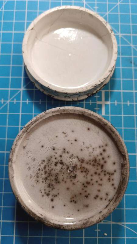 oriental tooth paste Jewsbury brown chemists container