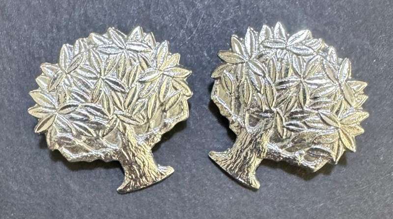 SADF - Regiment Vrystaat Collar Badges