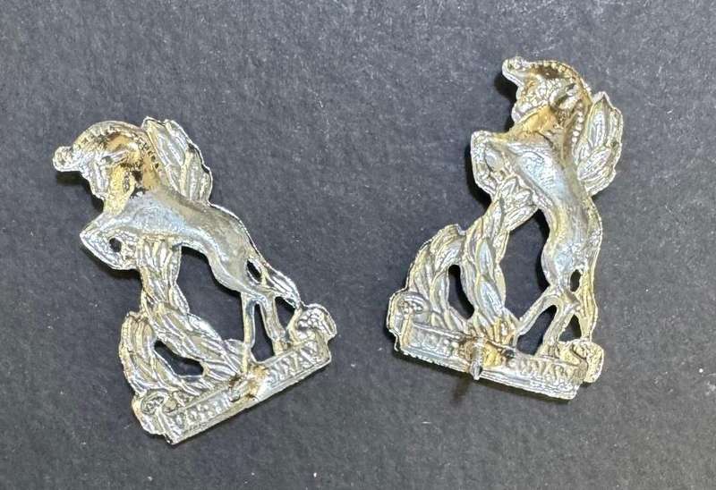 SADF - Regiment Bloemspruit Collar Badges