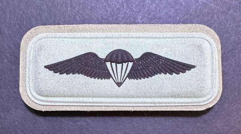 SANDF - Basic Parachute Wing