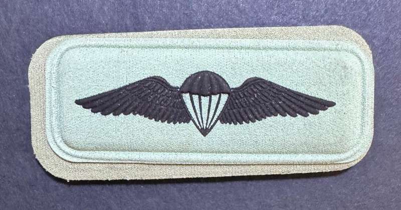 SANDF - Basic Parachute Wing