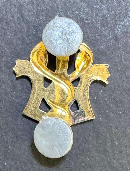 SADF - Medical Services Bi-Metal Psychologist Breast Badge