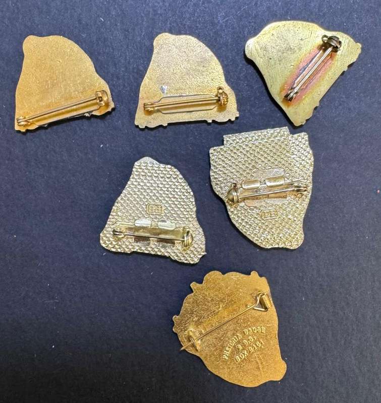 South African Republic Day Badge Lot