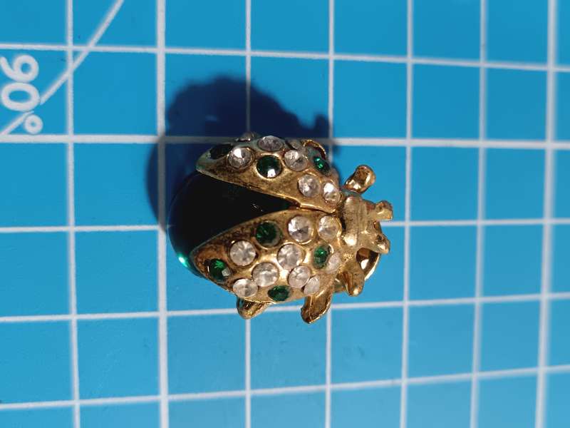 Costume Jewellery - Stunning ladybug Brooch