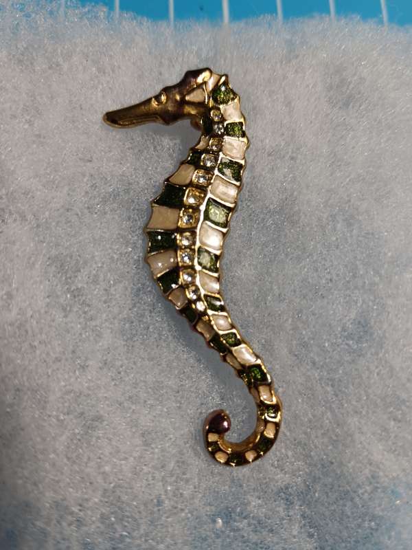 Costume Jewellery - seahorse brooch