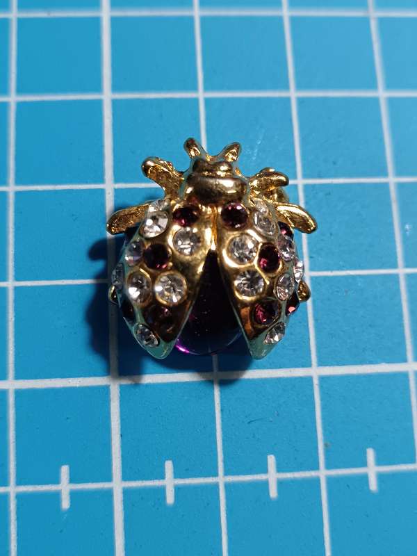 Costume Jewellery - Lady Bug Pin