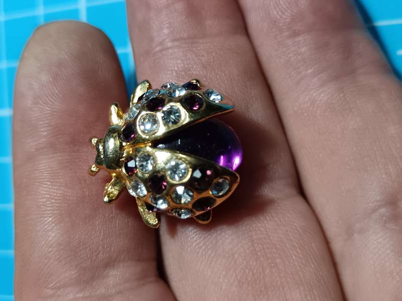 Costume Jewellery - Lady Bug Pin