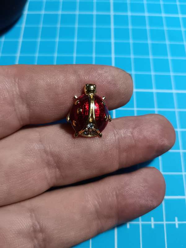 Costume Jewellery - Lady Bug Pin