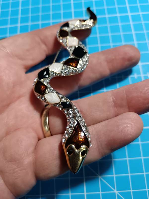 Costume Jewellery - snake brooch with earring combo
