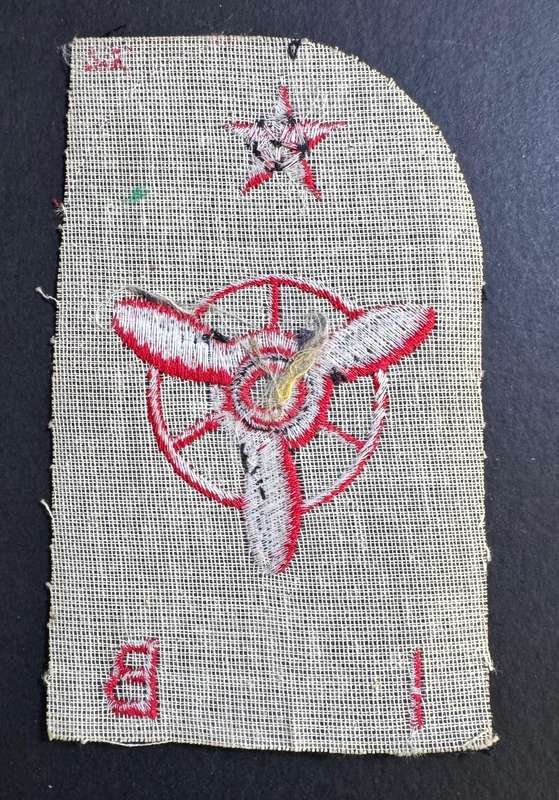 SADF - Navy Badge - Winter Dress