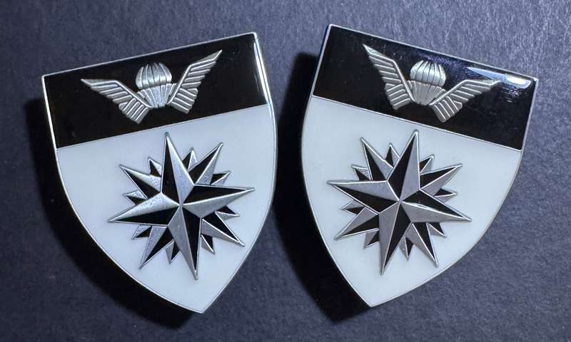 SANDF - 5 Special Forces Shoulder Flashes - Numbered Pair 347/350