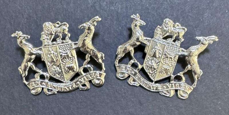 SADF - Warrant Officer Rank Pair