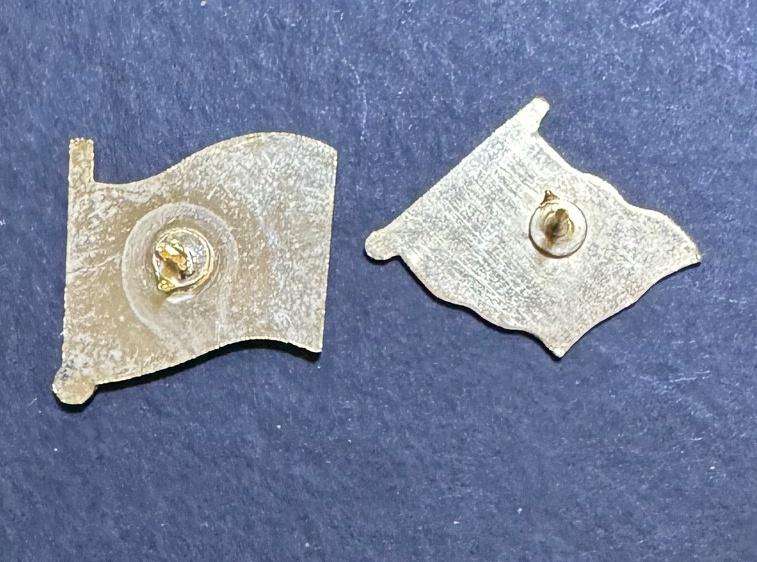 Pair of Old South African Pin Badges