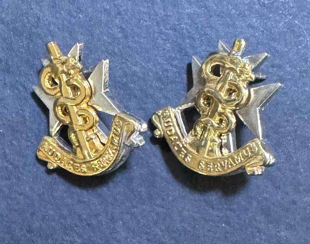 SADF - Medical Services Mess Dress Collars